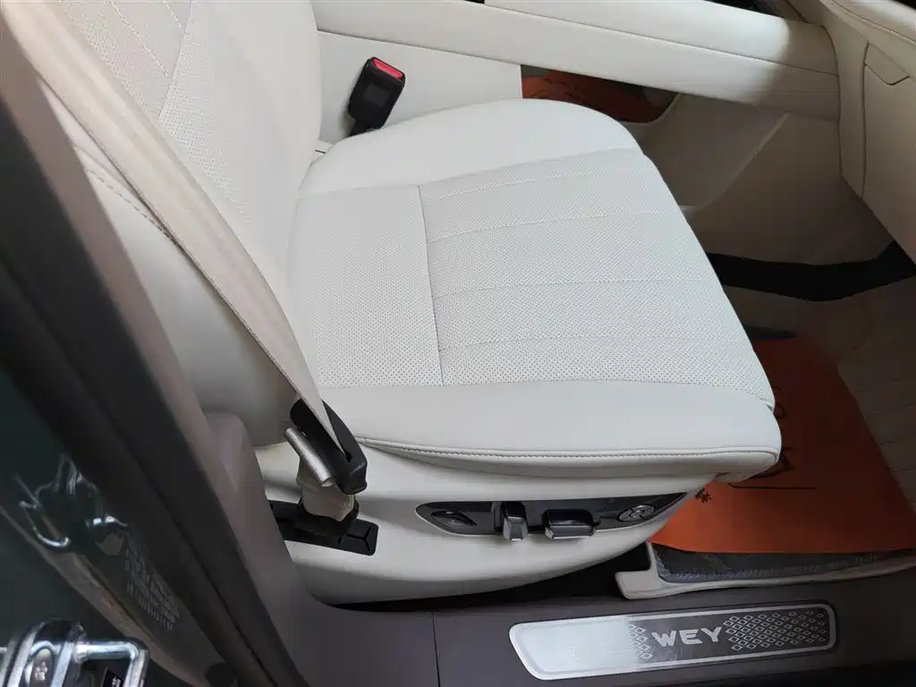 WEY Blue Mountain 4 WD Ultra
