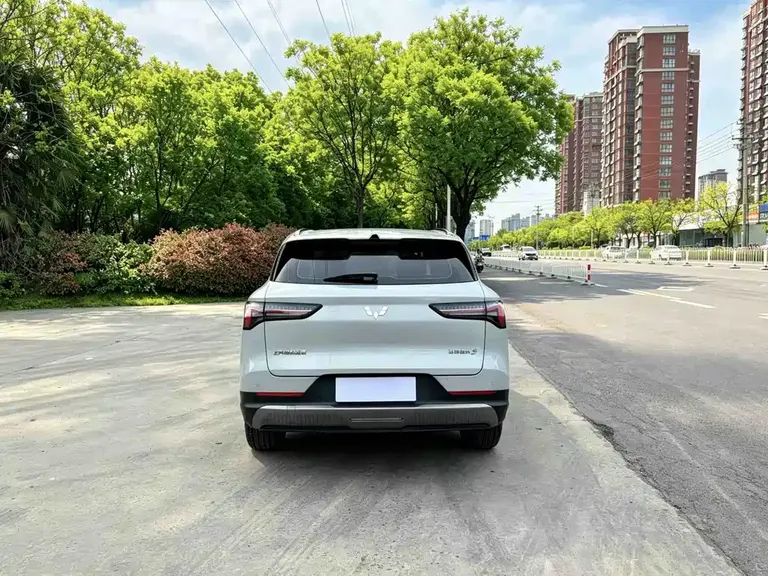 Wuling Starlight S 130 km Flagship
