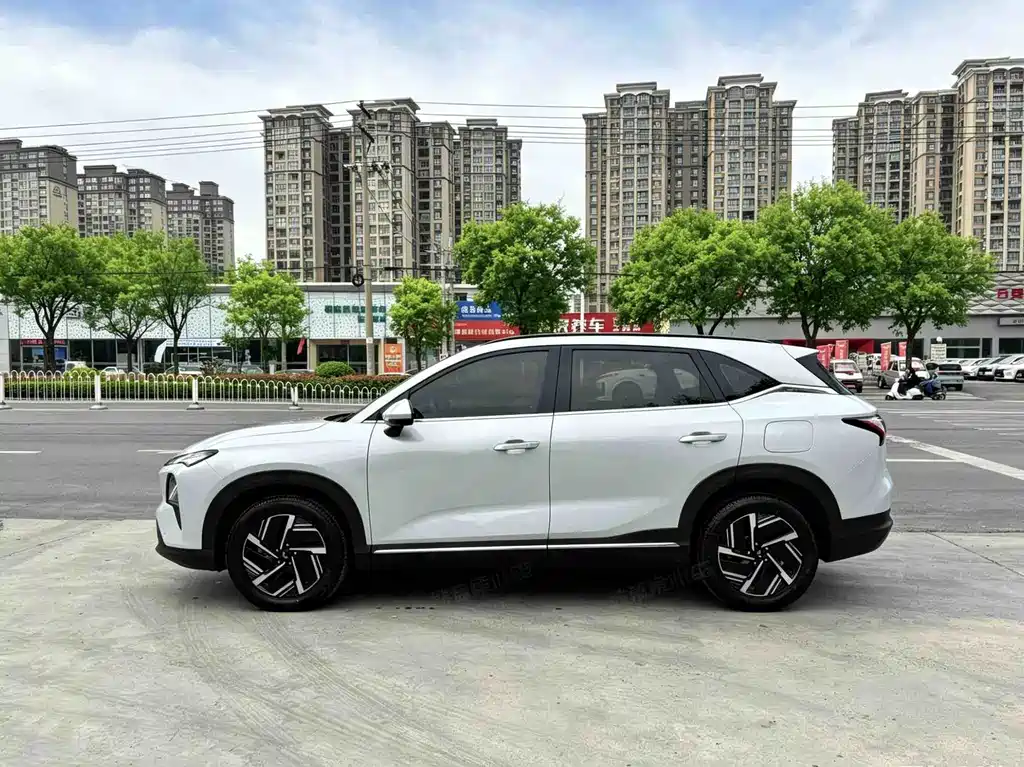 Wuling Starlight S 130 km Flagship