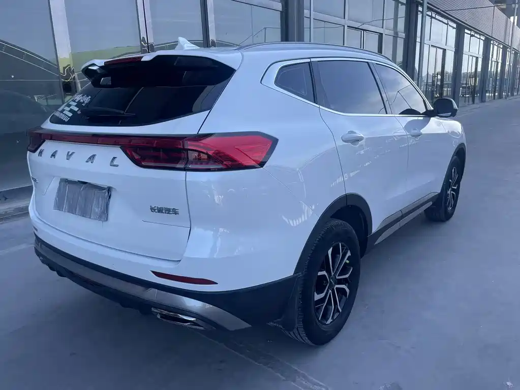 Haval H6 China Style 1.5 T Auto Urban