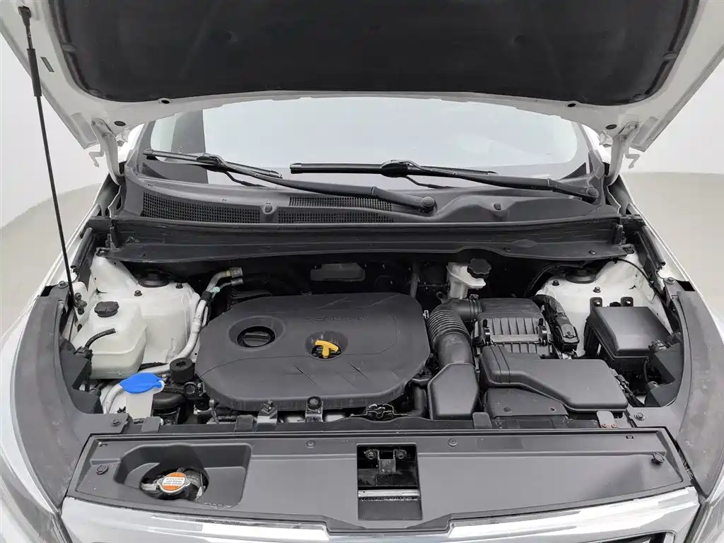 Sportage 2.0 L Auto 2 WD DLX