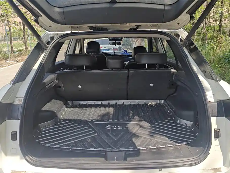 Venucia Star 260 T Auto 48 V Mild Hybrid Turbo Star Shine
