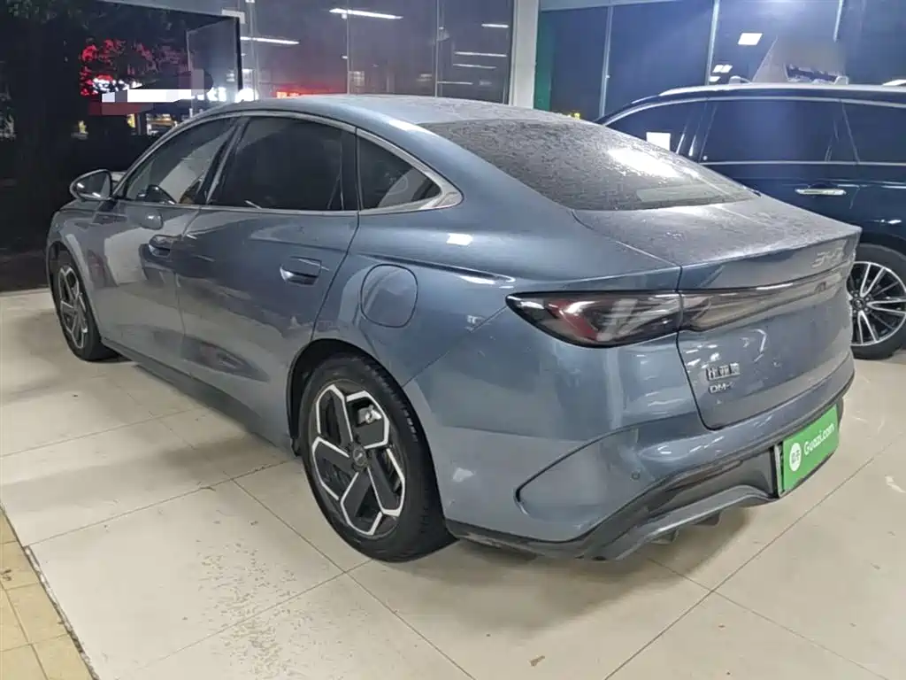 Seal 06 DM-i 120 KM Flagship