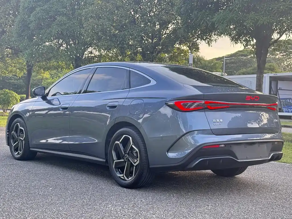 Seal 06 DM-i 120 KM Flagship