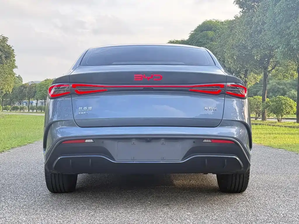 Seal 06 DM-i 120 KM Flagship