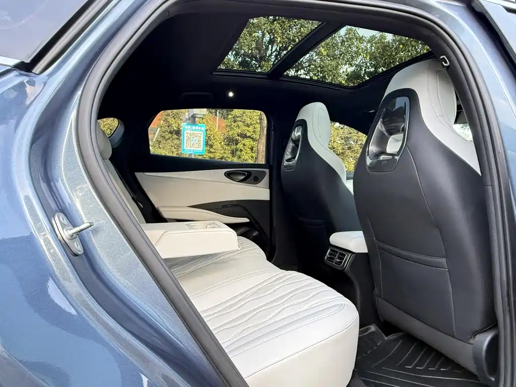 Seal 06 DM-i 120 KM Flagship