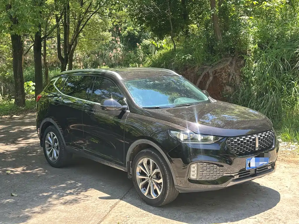WEY VV6 2.0 T 2 WD Smart Guard +