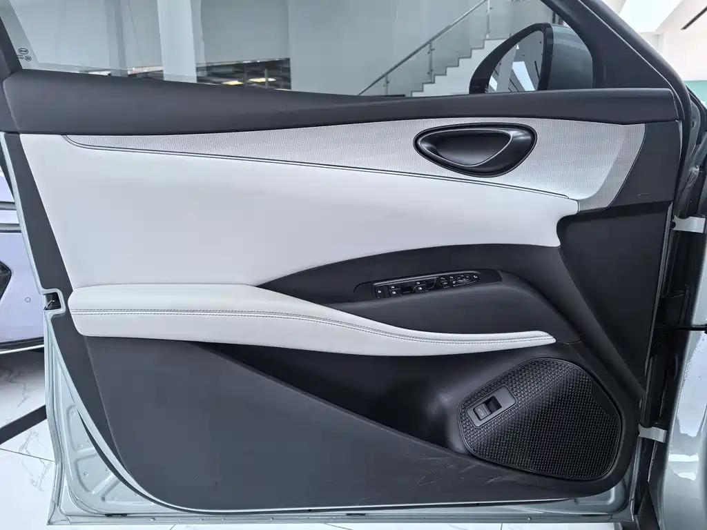 Seal 06 DM-i 120 KM Flagship