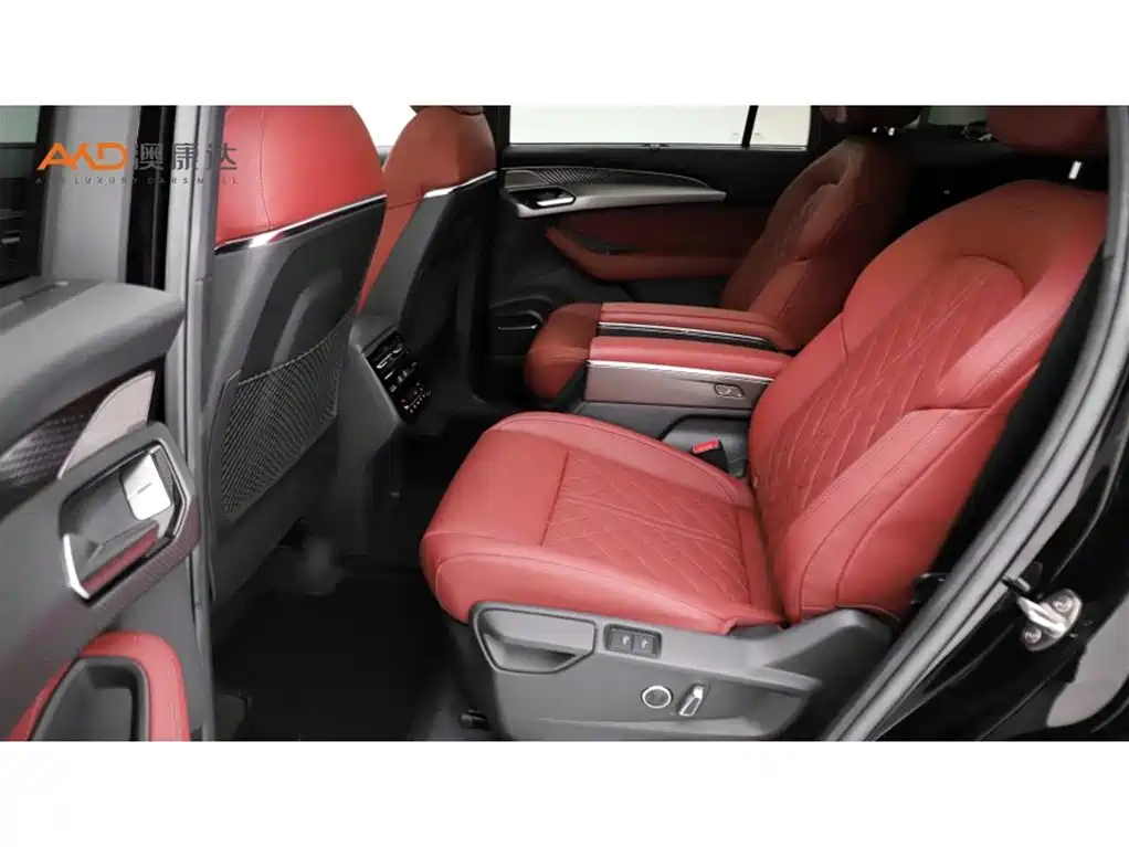 Audi Q6 奥迪Q6/2.0 T/23款/45 TFSI quattro 黑武士版 6座