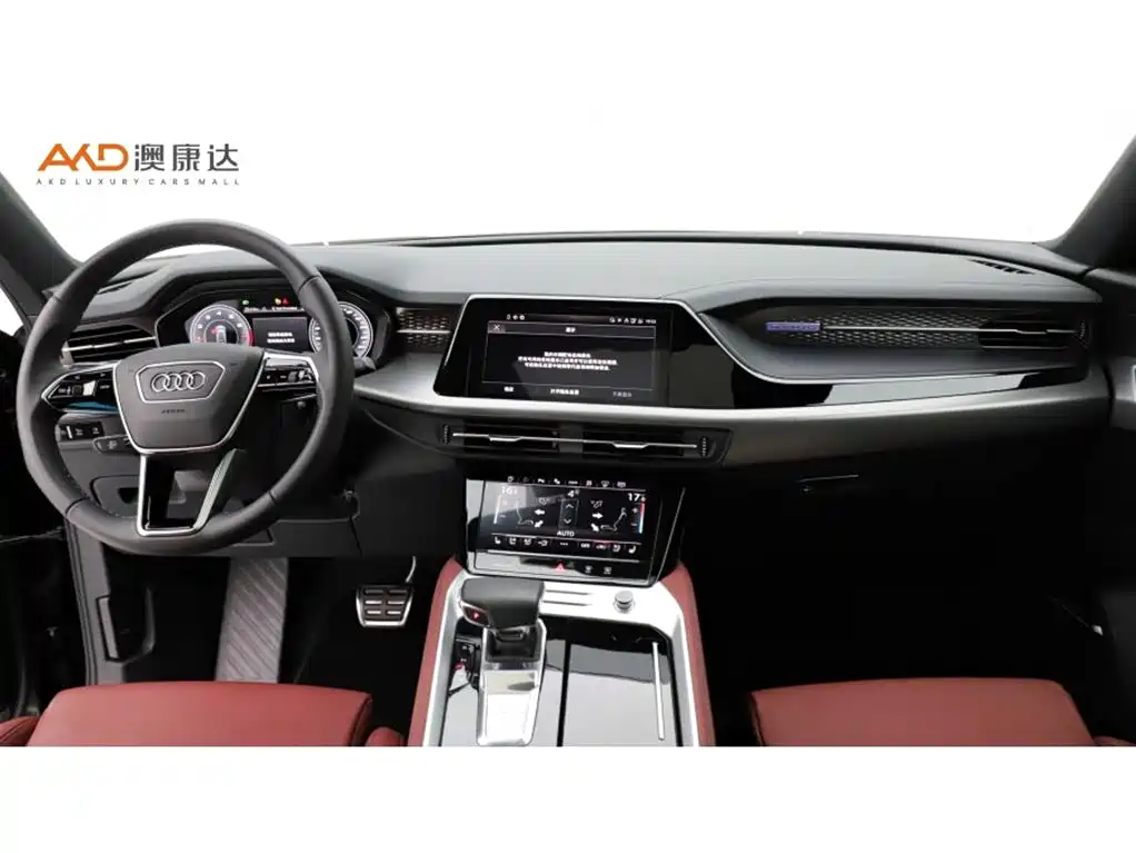 Audi Q6 奥迪Q6/2.0 T/23款/45 TFSI quattro 黑武士版 6座