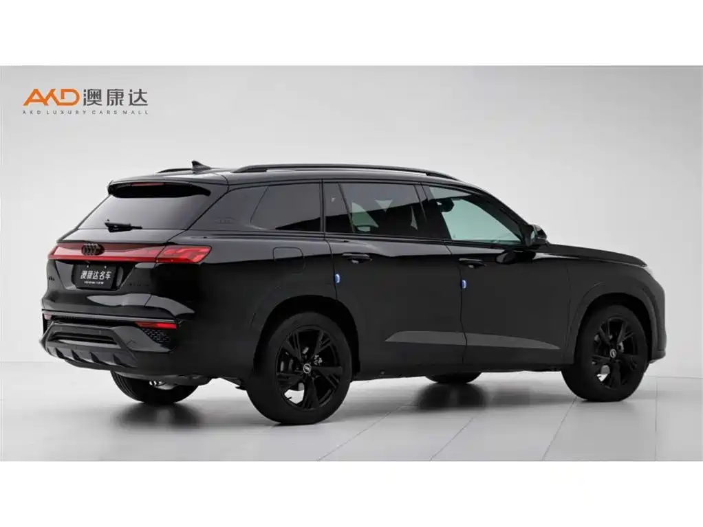 Audi Q6 奥迪Q6/2.0 T/23款/45 TFSI quattro 黑武士版 6座