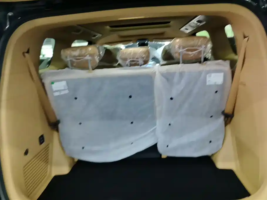 Voyah Dreamer PHEV 4 WD Excellent Kunpeng