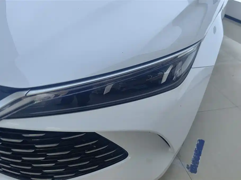 Qin L DM-i 80 KM Transcend