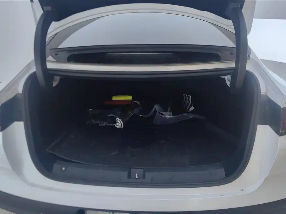 Qin L DM-i 80 KM Transcend