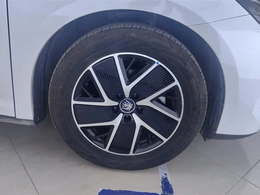 Qin L DM-i 80 KM Transcend