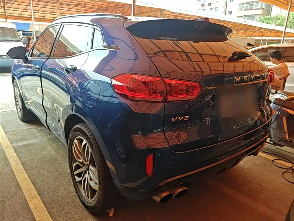 WEY VV5 2.0 T Super Luxury