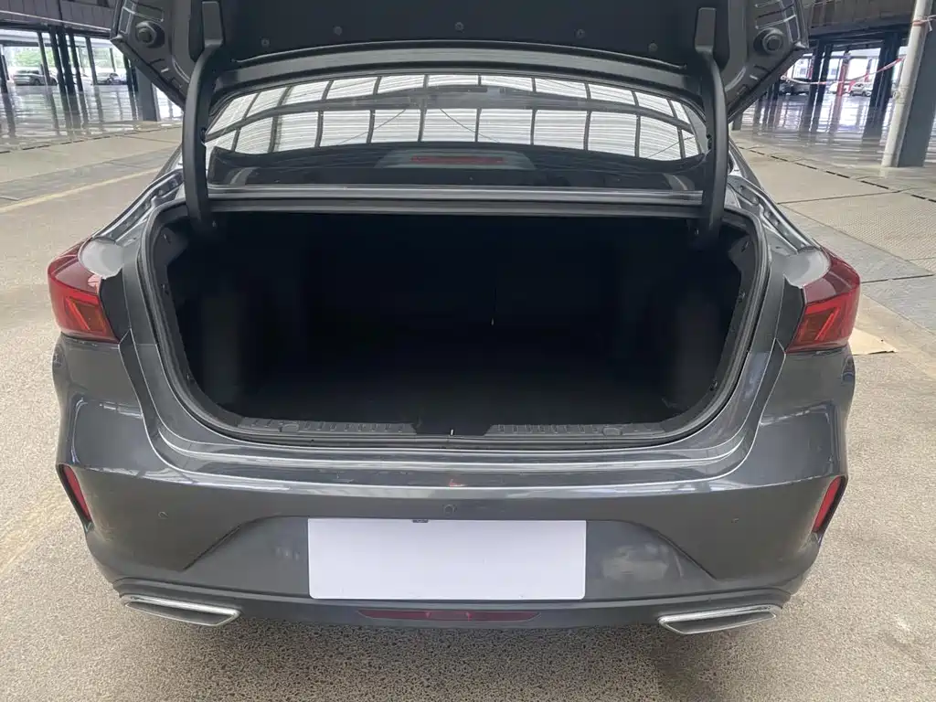 Eado PLUS Blue Whale NE 1.4 T GDI DCT Flagship