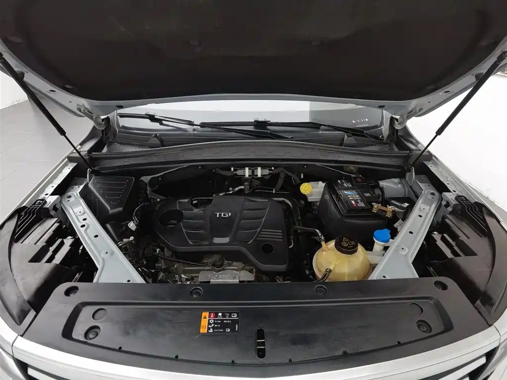 Roewe RX5 MAX 300 TGI Auto Intelligent Cockpit Luxury