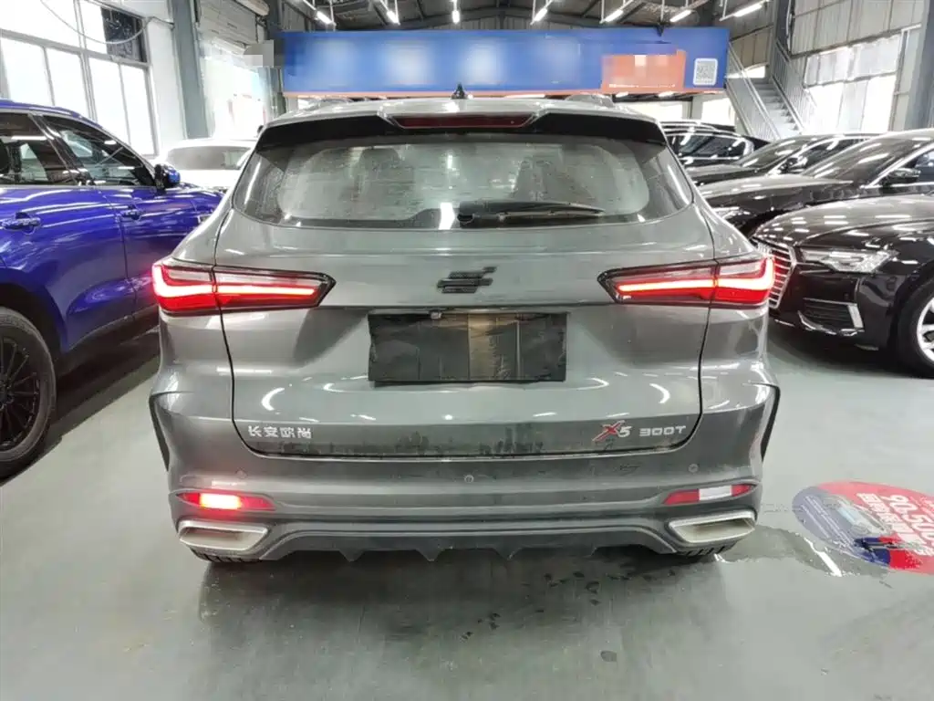 Changan Oshan X5 1.5 T DCT Flagship