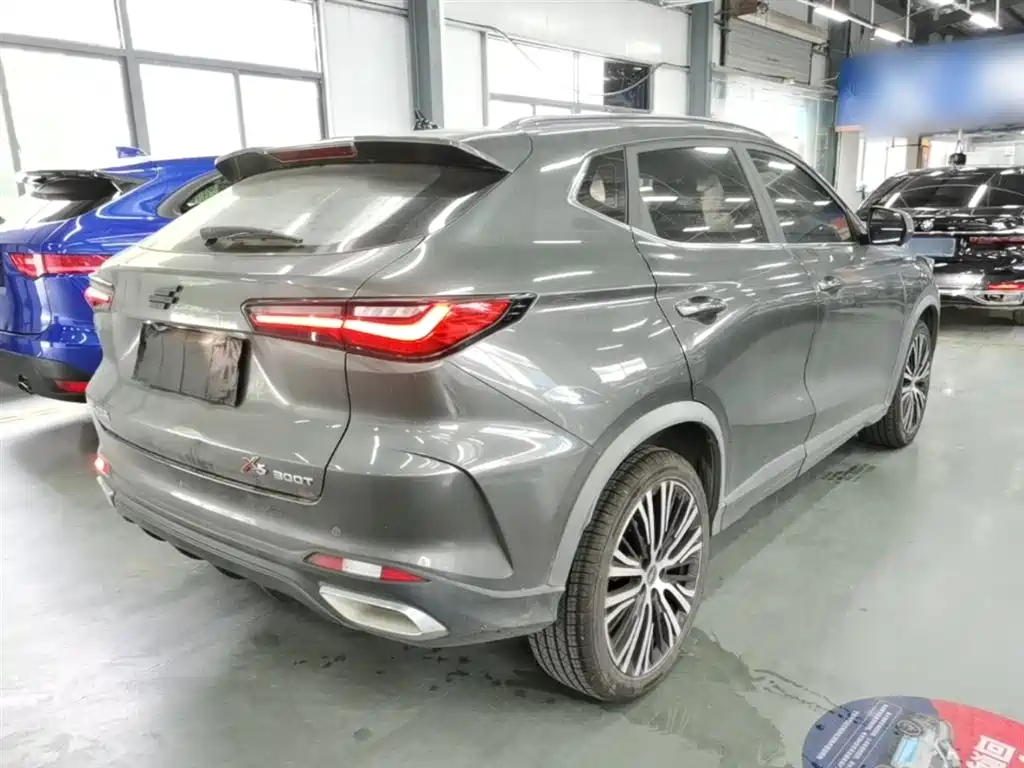 Changan Oshan X5 1.5 T DCT Flagship