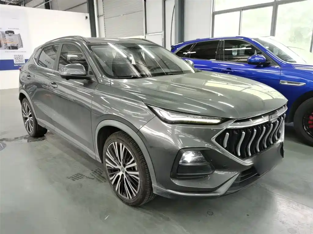 Changan Oshan X5 1.5 T DCT Flagship