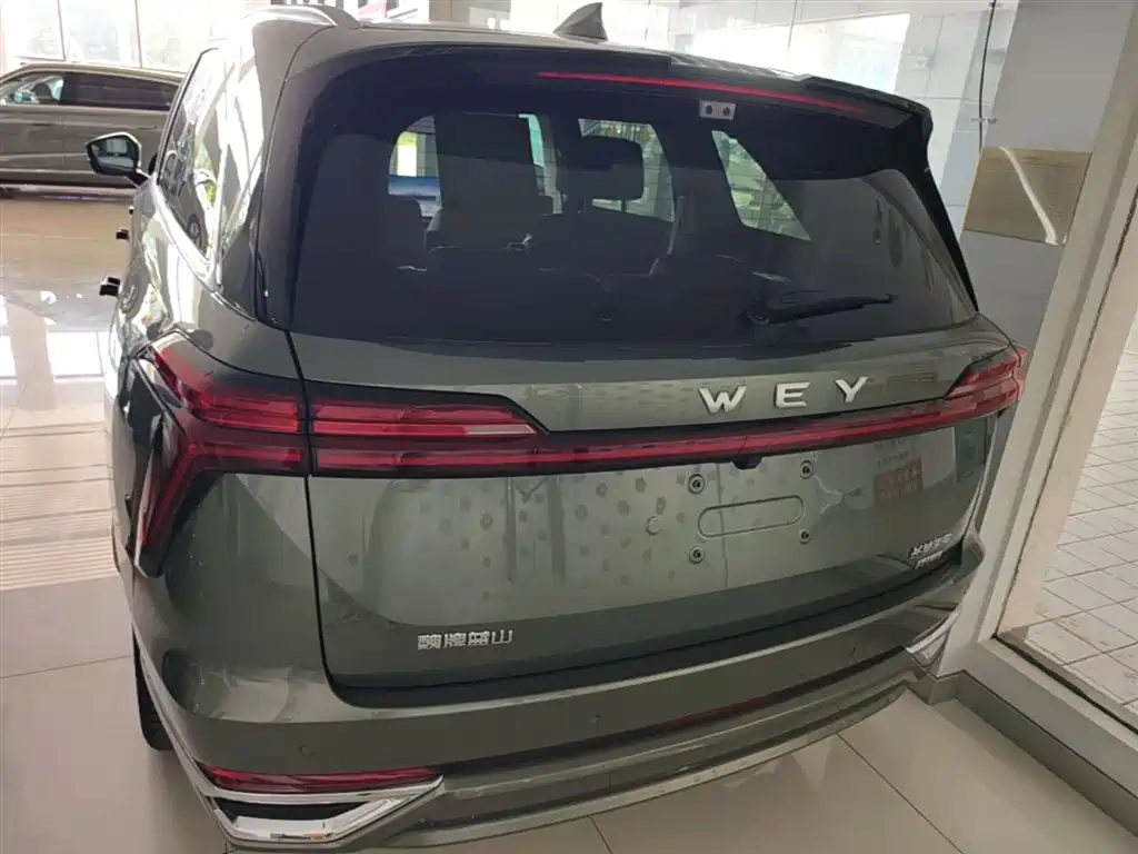 WEY Blue Mountain 4 WD Max