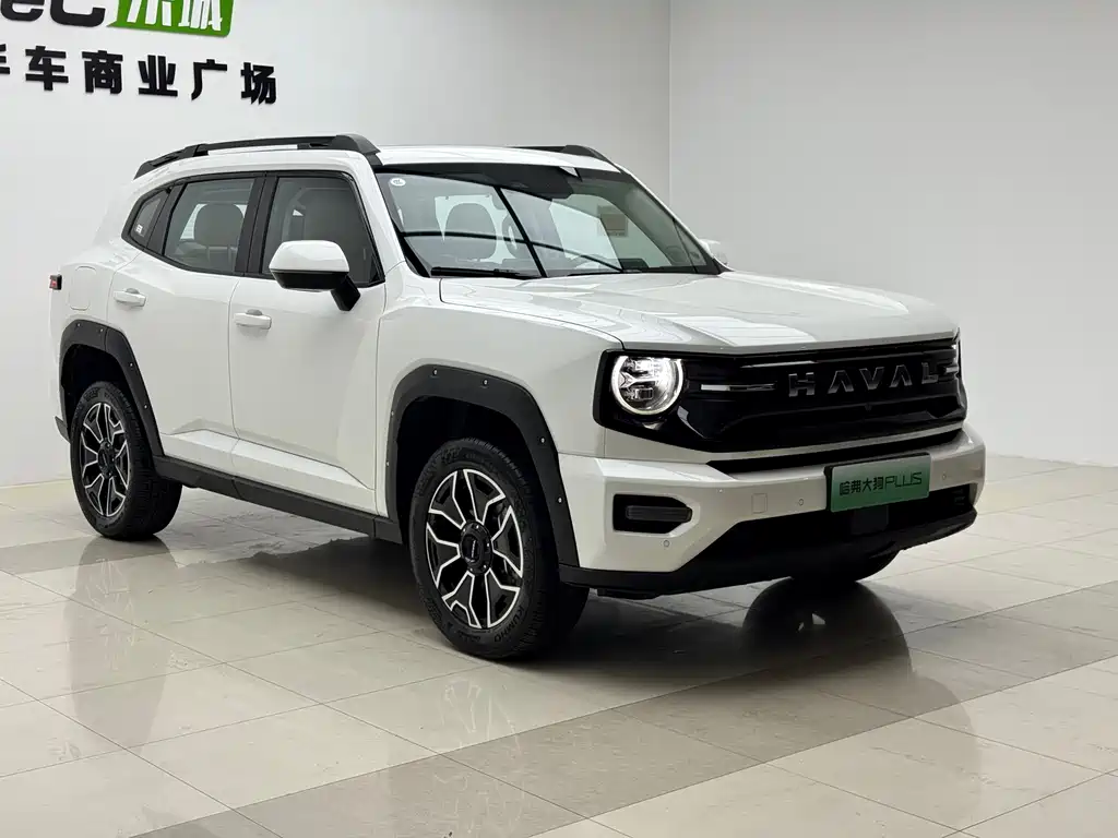 Haval Dargo PLUS NEV Hi4 150 km Trend Electric