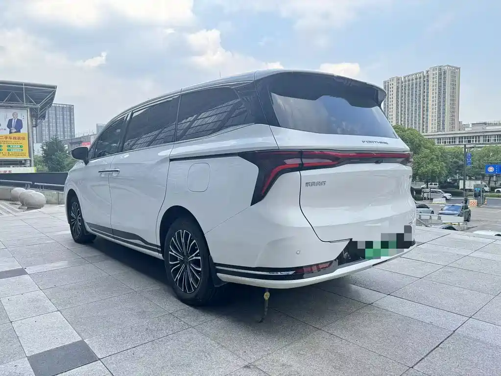 Xinghai V9 1.5 TD 200 km China Series Premium
