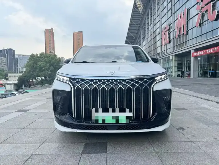 Dongfeng Xinghai V9 1.5 TD 200 km China Series Premium