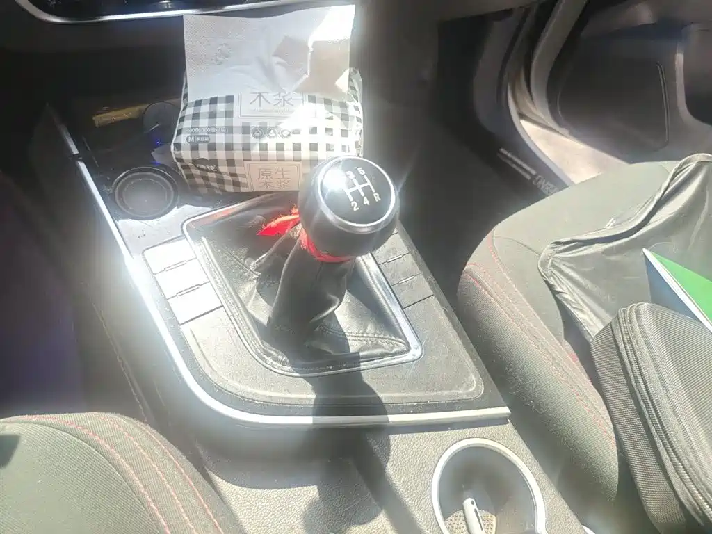 Fengxing SX6 风行SX6 2019款 1.6 L 手动下乡版 国VI