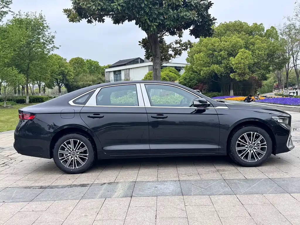 Xingrui Oriental Shine 1.5 TD Swan
