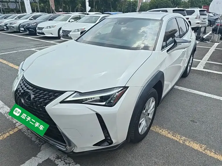 Lexus UX 260 h ·