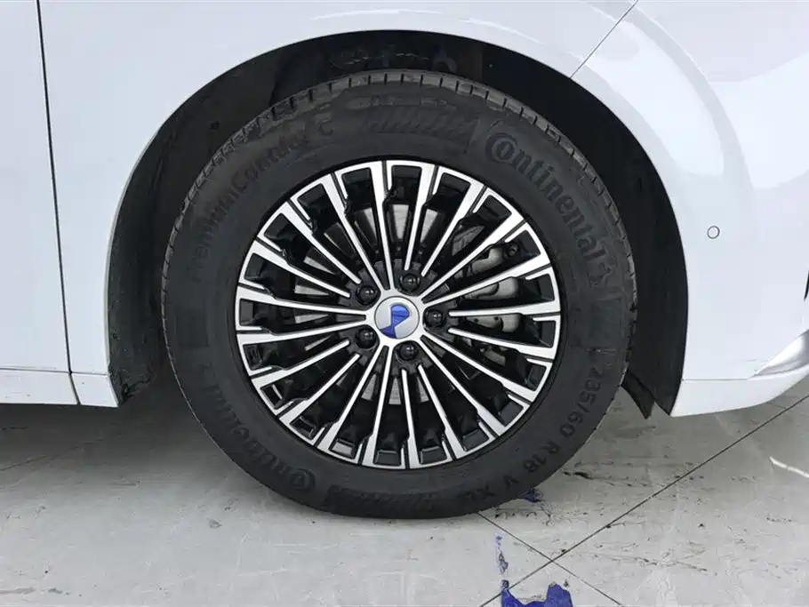Denza D9 DM-i 970 4 WD Flagship