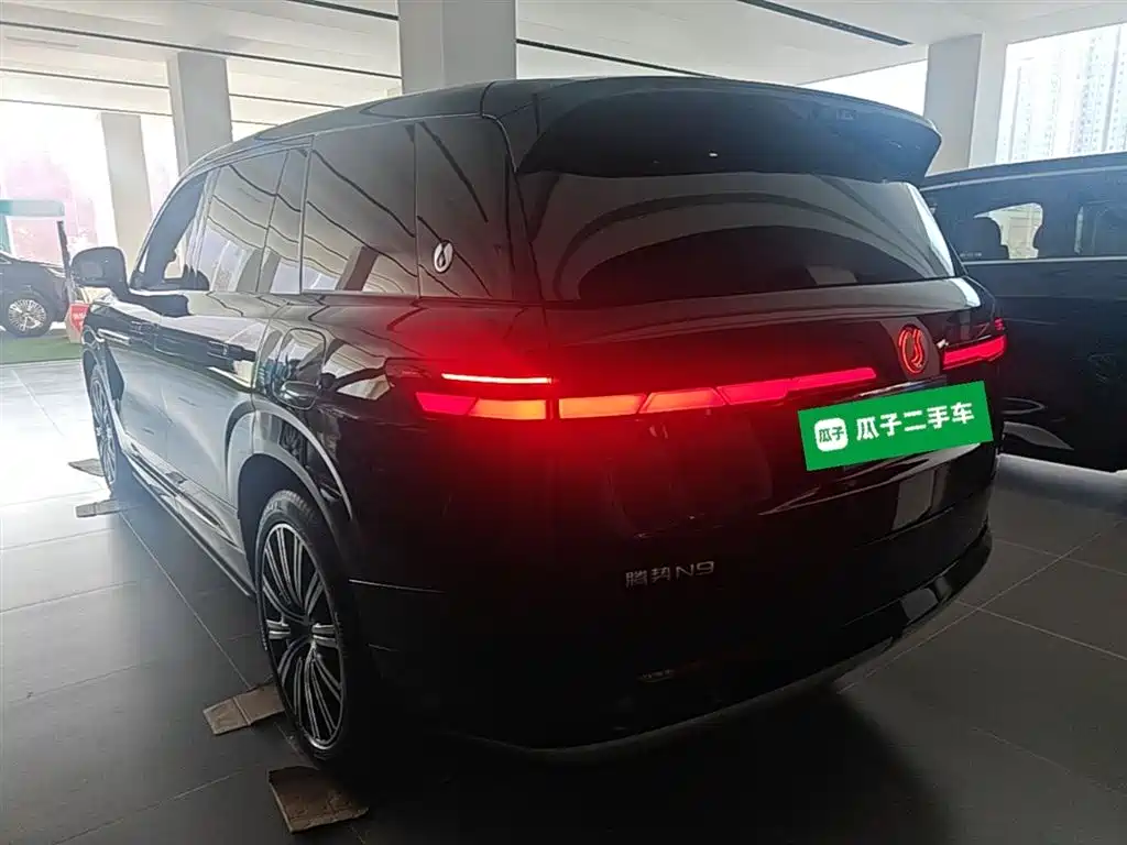 Denza N9 Flagship