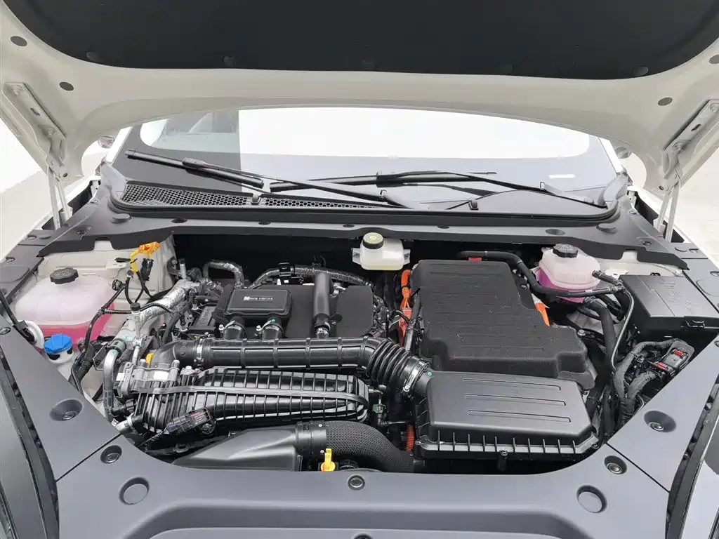 Seal 06 DM-i Wagon DM-i 80 KM Distinguished