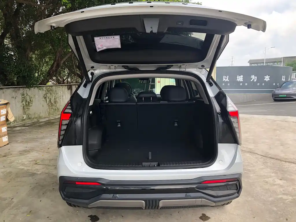 Boyue L 1.5 TD DCT Flagship