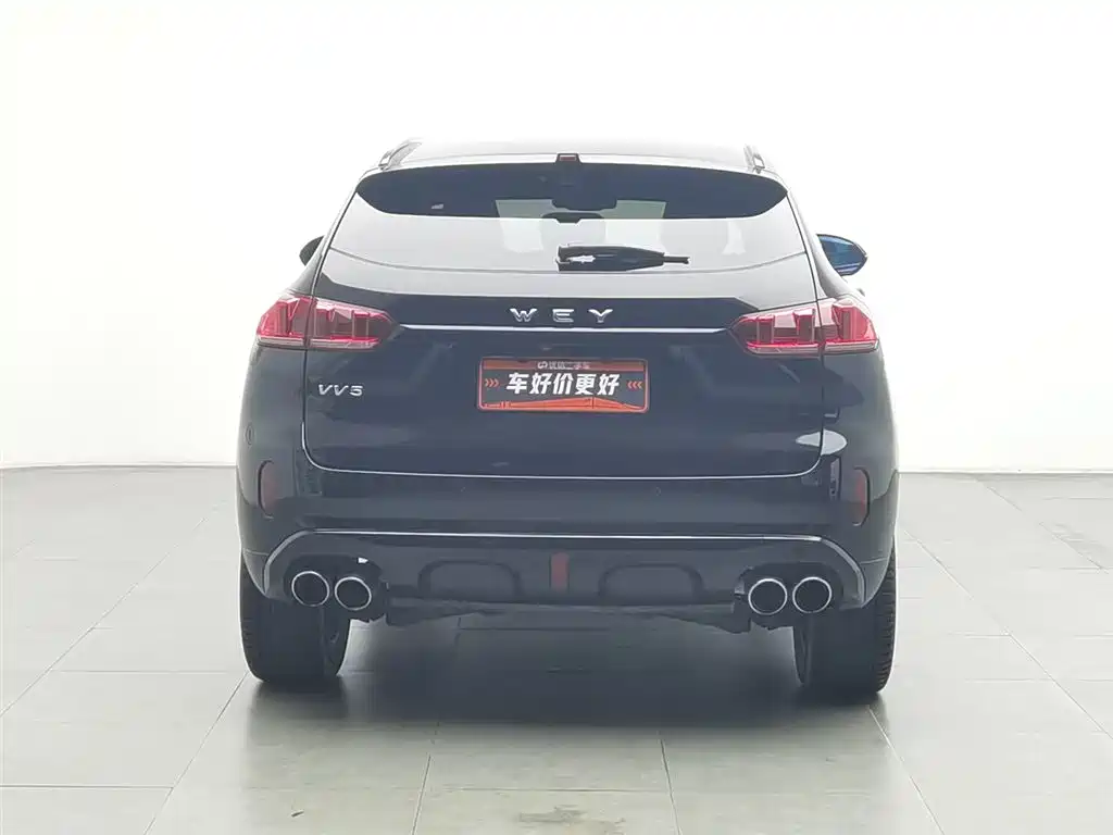 WEY VV5 2.0 T Super Luxury