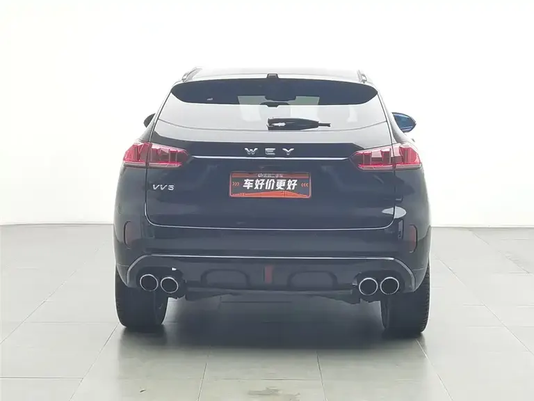 WEY VV5 2.0 T Super Luxury