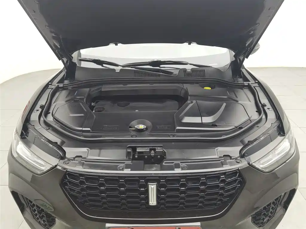 WEY VV5 2.0 T Super Luxury