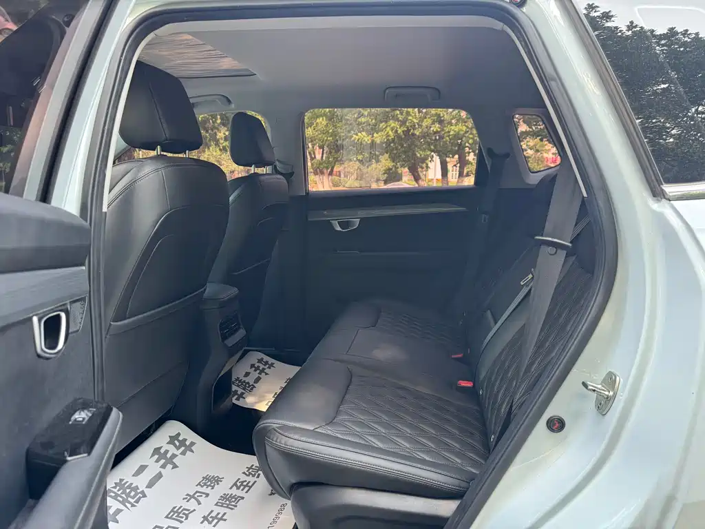 Wuling Xingchen 2.0 L DHT Electric Power
