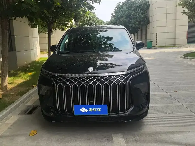 Dongfeng Xinghai V9 1.5 TD 200 km China Series Luxury