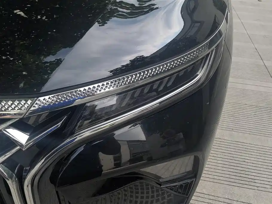 Xinghai V9 1.5 TD 200 km China Series Luxury