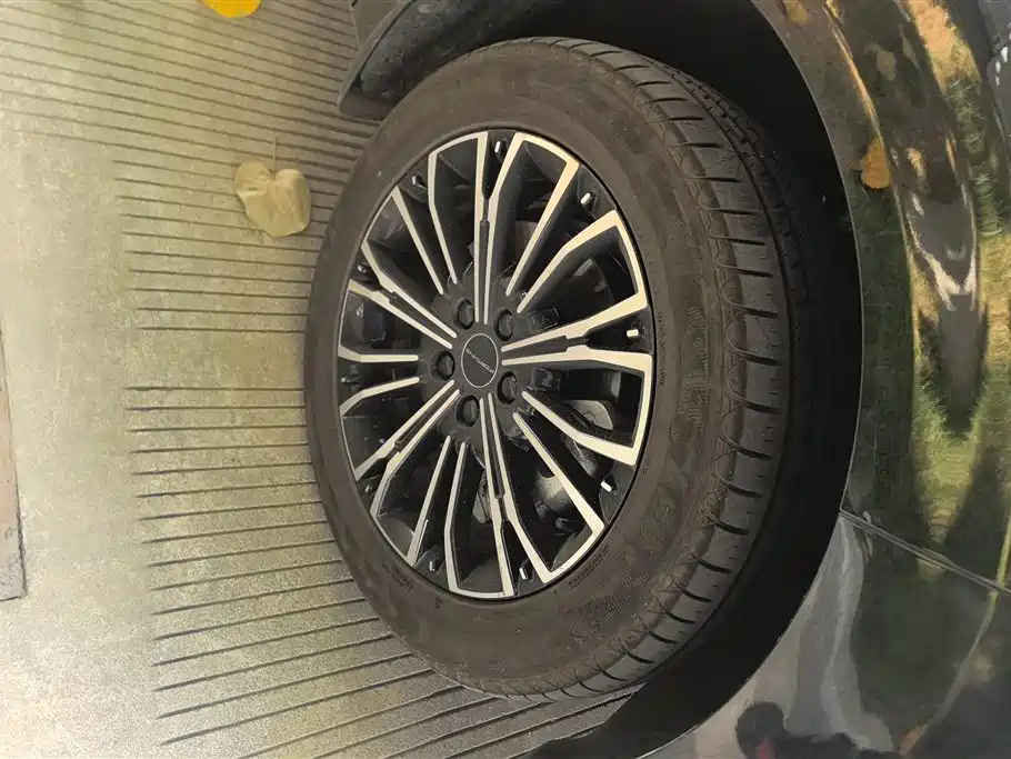 Xinghai V9 1.5 TD 200 km China Series Luxury