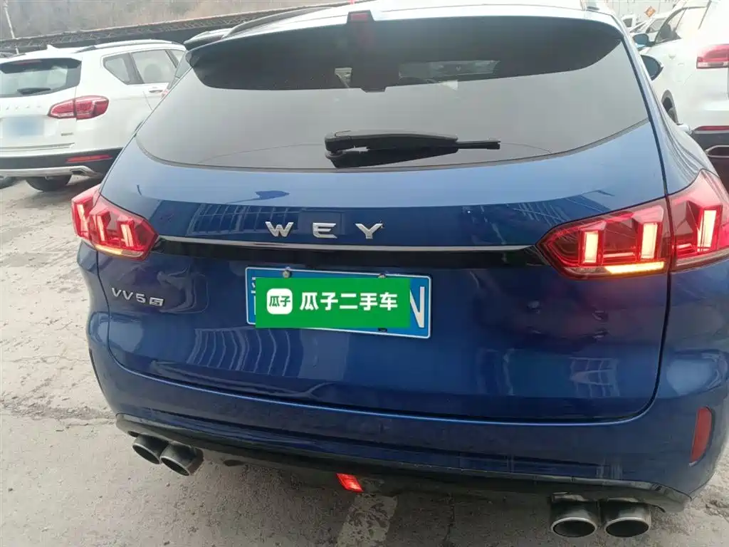 WEY VV5 2.0 T Super Luxury