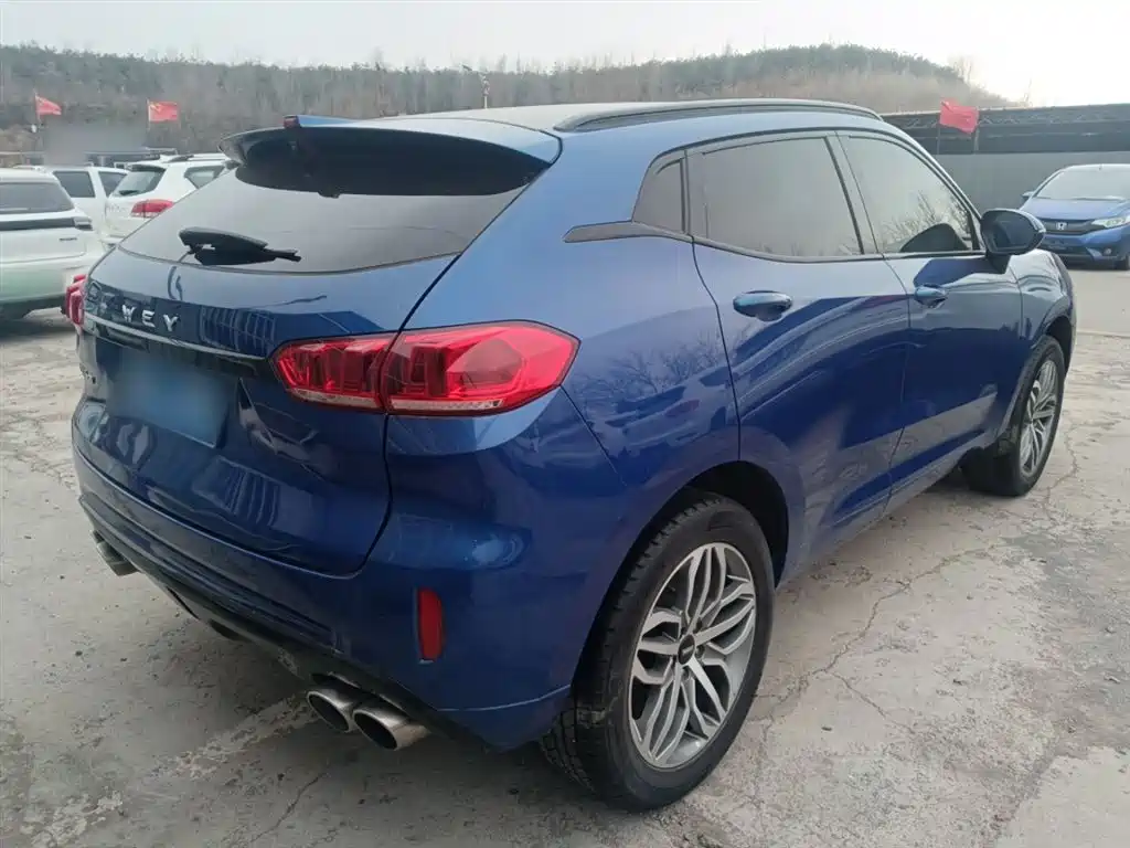 WEY VV5 2.0 T Super Luxury