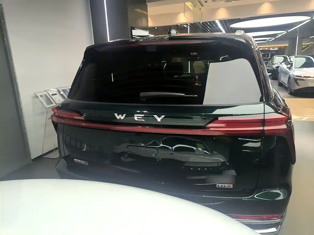 WEY Blue Mountain 4 WD Max