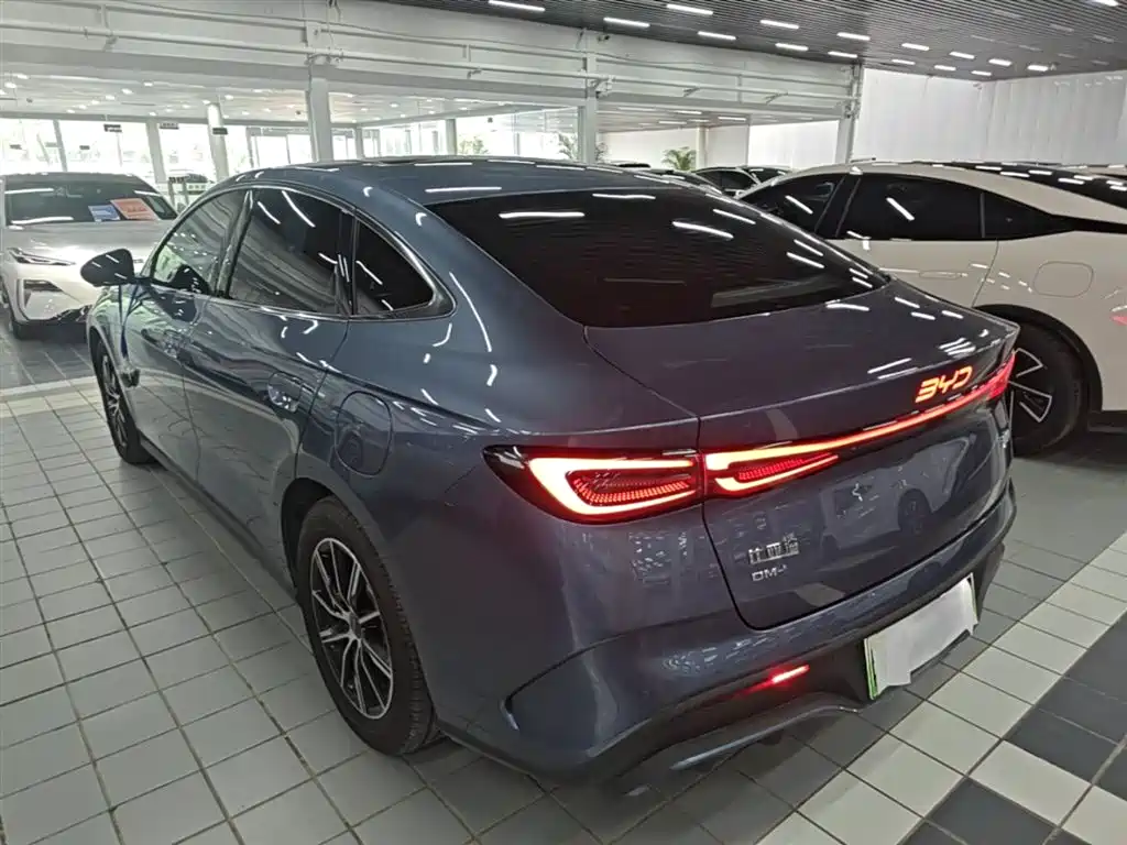 Seal 06 DM-i 120 KM Premium