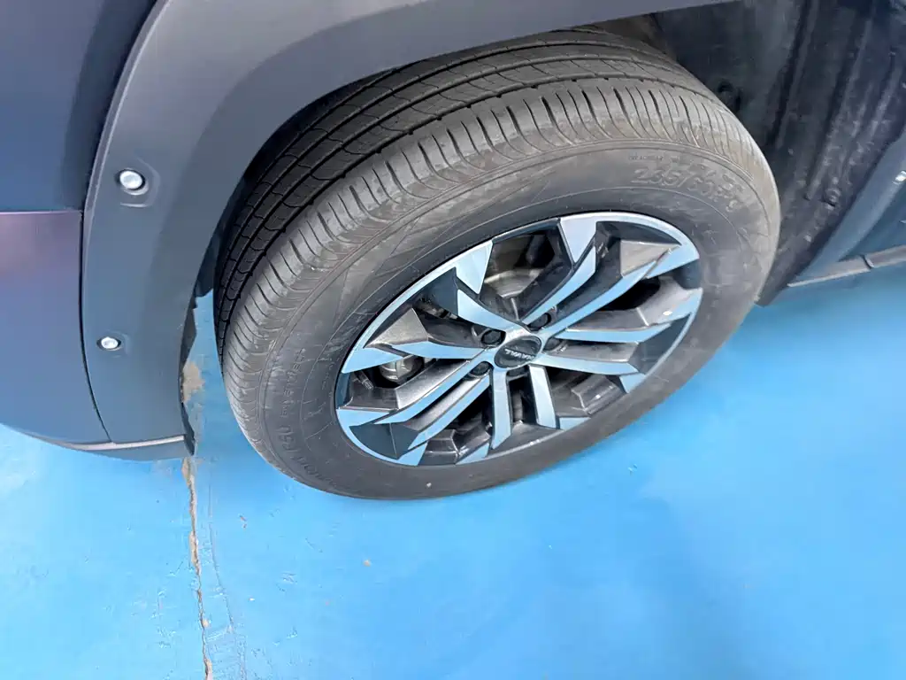 Haval Dargo PLUS 2.0 T 2 WD Trend Wild Plus