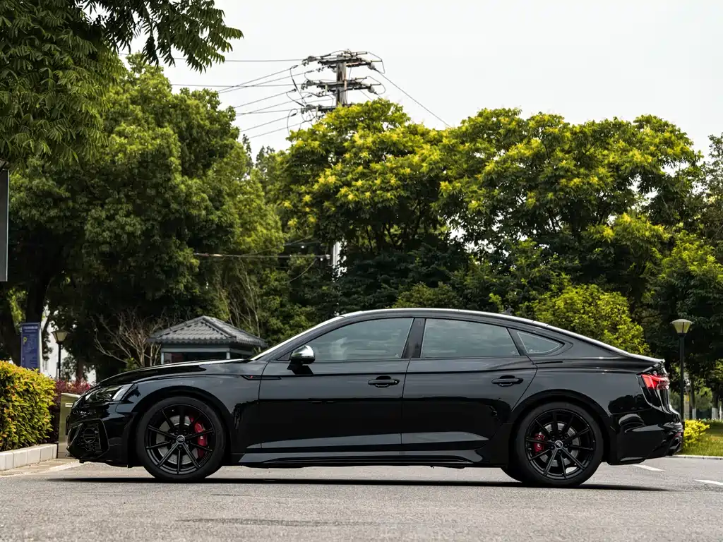 Audi RS 5 RS 5 2.9 T Sportback