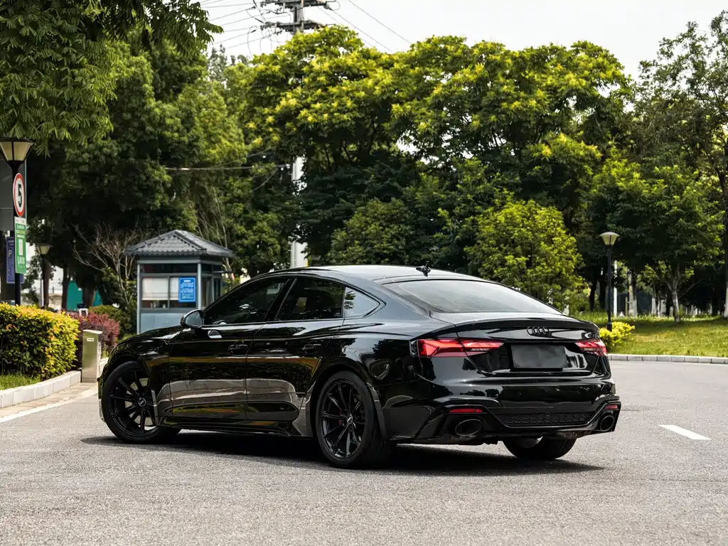 Audi RS 5 RS 5 2.9 T Sportback